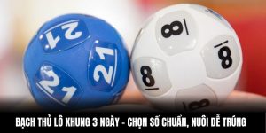 Bạch Thủ Lô Khung 3 Ngày – Chọn Số Chuẩn, Nuôi Dễ Trúng