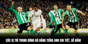 Các Vị Trí Trong Bóng Đá Bằng Tiếng Anh Chi Tiết, Dễ Nắm