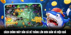 Cách Chỉnh Máy Bắn Cá Để Thắng Lớn Đơn Giản Và Hiệu Quả