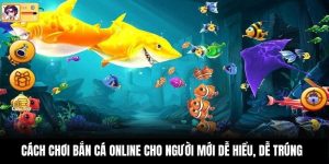 Cách Chơi Bắn Cá Online Cho Người Mới Dễ Hiểu, Dễ Trúng