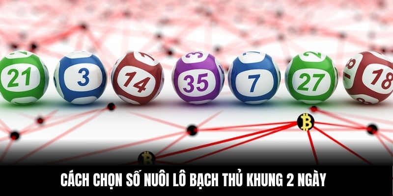 Cách chọn số nuôi lô bạch thủ khung 2 ngày