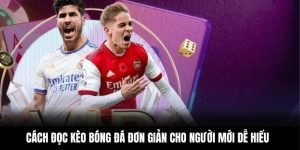 Cách Đọc Kèo Bóng Đá Đơn Giản Cho Người Mới Dễ Hiểu