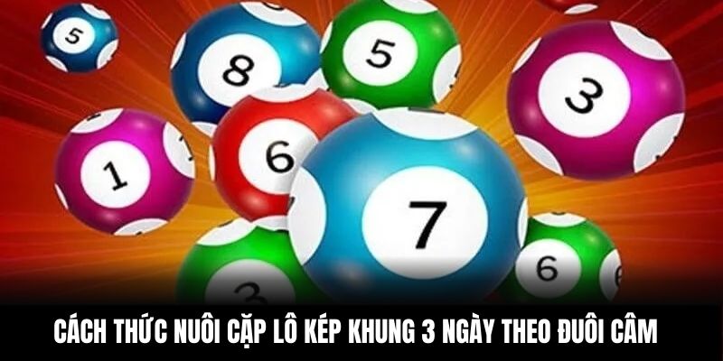 Cách thức nuôi cặp lô kép khung 3 ngày theo đuôi câm