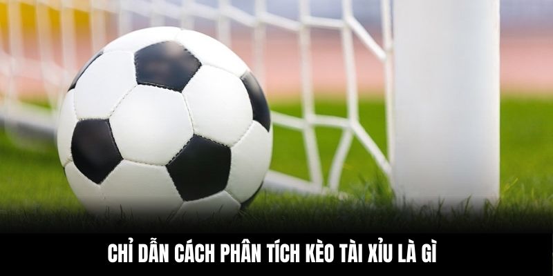 Chỉ dẫn cách phân tích kèo tài xỉu là gì