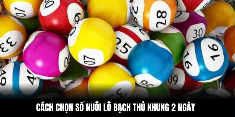 Chiến thuật nuôi khung lô kép hiệu quả