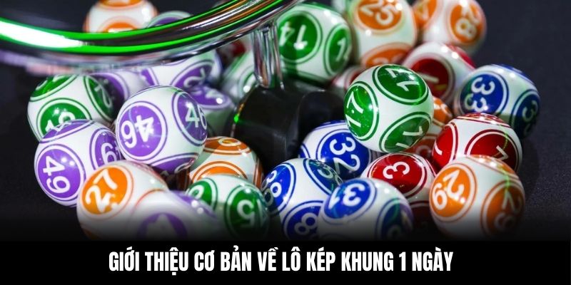 Giới thiệu cơ bản về lô kép khung 1 ngày