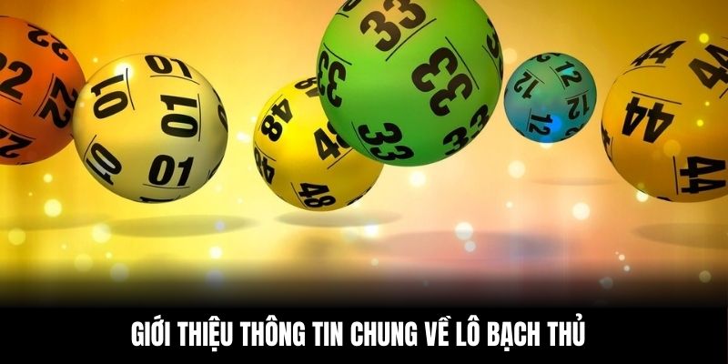 Giới thiệu thông tin chung về lô bạch thủ