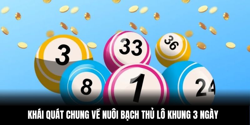 Khái quát chung về nuôi bạch thủ lô khung 3 ngày