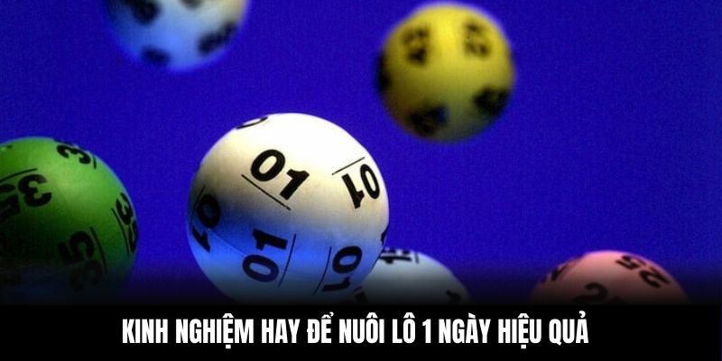 Kinh nghiệm hay để nuôi lô 1 ngày hiệu quả
