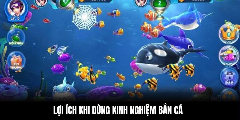 Lợi ích khi dùng kinh nghiệm bắn cá